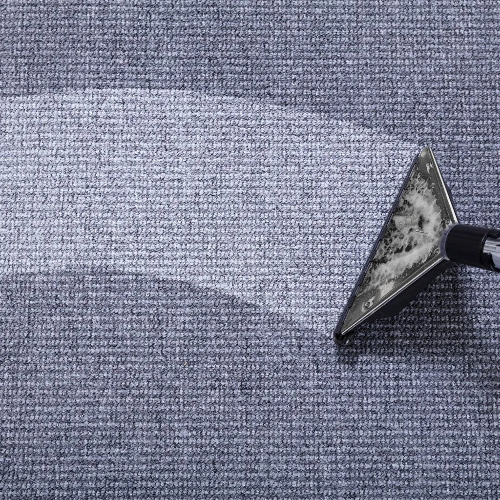 Where Does the Dirt Go When You Steam Clean a Carpet?
