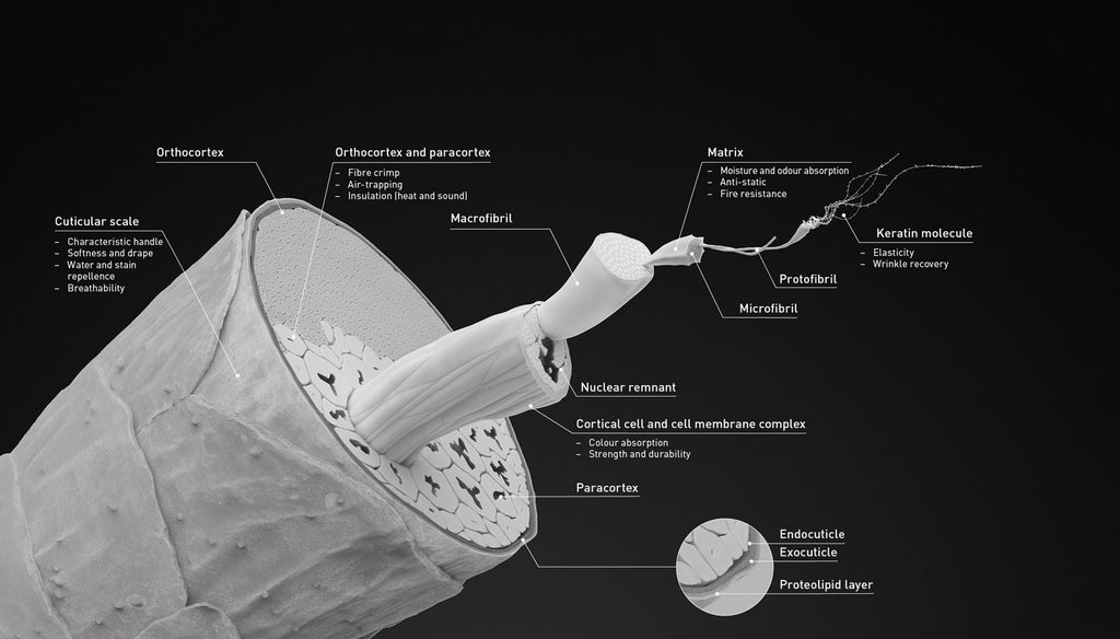 The ugly truth about synthetic fibers